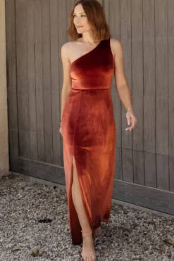 Baltic Born Tatiana Velvet One Shoulder Maxi Dress |